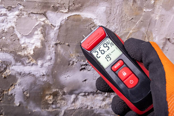 Best DIY Mold Remediation Support Services in Arche, OK